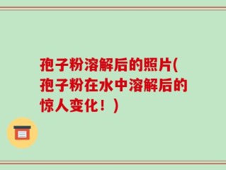 孢子粉溶解后的照片(孢子粉在水中溶解后的惊人变化！)