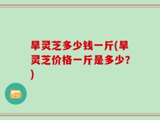 旱灵芝多少钱一斤(旱灵芝价格一斤是多少？)