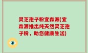 灵芝孢子粉宜森源(宜森源推出纯天然灵芝孢子粉，助您健康生活)