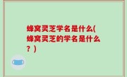 蜂窝灵芝学名是什么(蜂窝灵芝的学名是什么？)