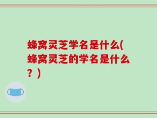 蜂窝灵芝学名是什么(蜂窝灵芝的学名是什么？)