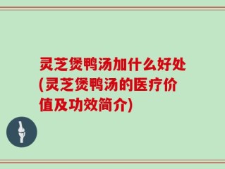 灵芝煲鸭汤加什么好处(灵芝煲鸭汤的医疗价值及功效简介)