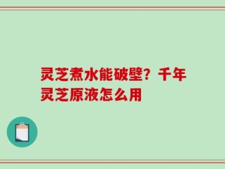 灵芝煮水能破壁？千年灵芝原液怎么用