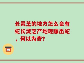 长灵芝的地方怎么会有蛇长灵芝产地现蹦出蛇，何以为奇？