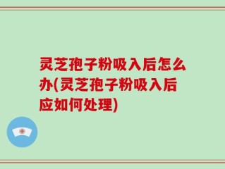 灵芝孢子粉吸入后怎么办(灵芝孢子粉吸入后应如何处理)