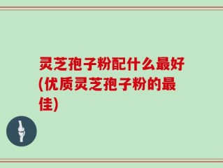 灵芝孢子粉配什么最好(优质灵芝孢子粉的最佳)