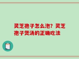 灵芝孢子怎么泡？灵芝孢子煲汤的正确吃法