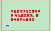 羊肚菌炖汤加灵芝孢子粉(羊肚菌灵芝汤：营养丰富的滋补佳品)