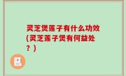 灵芝煲莲子有什么功效(灵芝莲子煲有何益处？)
