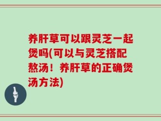 养肝草可以跟灵芝一起煲吗(可以与灵芝搭配熬汤！养肝草的正确煲汤方法)