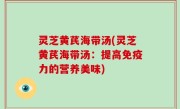 灵芝黄芪海带汤(灵芝黄芪海带汤：提高免疫力的营养美味)