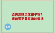烫伤涂抹灵芝孢子粉？猪蹄灵芝黄豆汤的做法