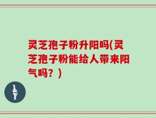 灵芝孢子粉升阳吗(灵芝孢子粉能给人带来阳气吗？)