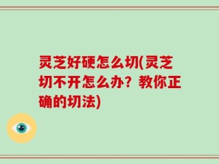 灵芝好硬怎么切(灵芝切不开怎么办？教你正确的切法)