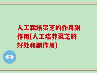 人工栽培灵芝的作用副作用(人工培养灵芝的好处和副作用)