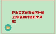 野生灵芝在家如何种植(在家轻松种植野生灵芝)