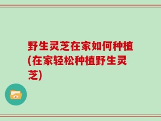 野生灵芝在家如何种植(在家轻松种植野生灵芝)