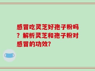 感冒吃灵芝好孢子粉吗？解析灵芝和孢子粉对感冒的功效？