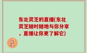 东北灵芝的直播(东北灵芝随时随地与你分享，直播让你更了解它)