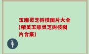 玉雕灵芝树枝图片大全(精美玉雕灵芝树枝图片合集)