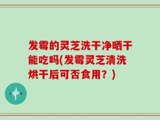 发霉的灵芝洗干净晒干能吃吗(发霉灵芝清洗烘干后可否食用？)
