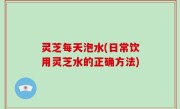 灵芝每天泡水(日常饮用灵芝水的正确方法)