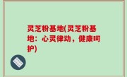 灵芝粉基地(灵芝粉基地：心灵律动，健康呵护)