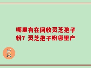 哪里有在回收灵芝孢子粉？灵芝孢子粉哪里产