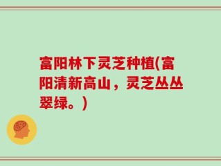 富阳林下灵芝种植(富阳清新高山，灵芝丛丛翠绿。)
