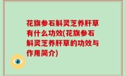 花旗参石斛灵芝养肝草有什么功效(花旗参石斛灵芝养肝草的功效与作用简介)