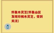 怀集木灵芝(怀集山区发现珍稀木灵芝，受到关注)