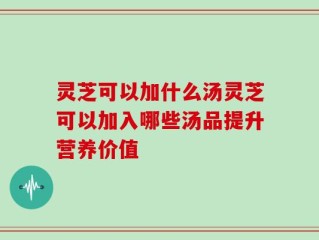 灵芝可以加什么汤灵芝可以加入哪些汤品提升营养价值
