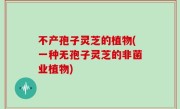 不产孢子灵芝的植物(一种无孢子灵芝的非菌业植物)