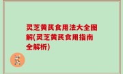灵芝黄芪食用法大全图解(灵芝黄芪食用指南全解析)