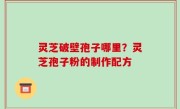 灵芝破壁孢子哪里？灵芝孢子粉的制作配方