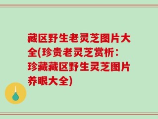 藏区野生老灵芝图片大全(珍贵老灵芝赏析：珍藏藏区野生灵芝图片养眼大全)