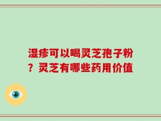 湿疹可以喝灵芝孢子粉？灵芝有哪些药用价值