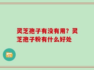 灵芝孢子有没有用？灵芝孢子粉有什么好处