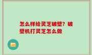 怎么样给灵芝破壁？破壁机打灵芝怎么做