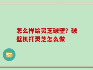 怎么样给灵芝破壁？破壁机打灵芝怎么做