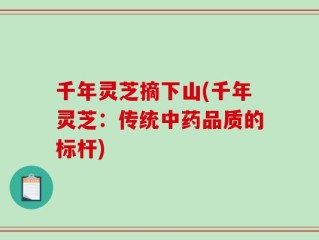 千年灵芝摘下山(千年灵芝：传统中药品质的标杆)