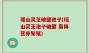 瑶山灵芝破壁孢子(瑶山灵芝孢子破壁 赢得营养繁殖)
