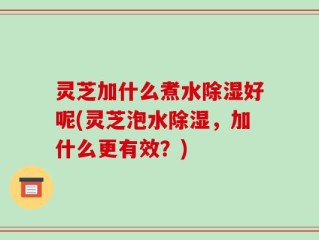 灵芝加什么煮水除湿好呢(灵芝泡水除湿，加什么更有效？)