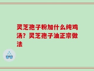 灵芝孢子粉加什么纯鸡汤？灵芝孢子油正宗做法