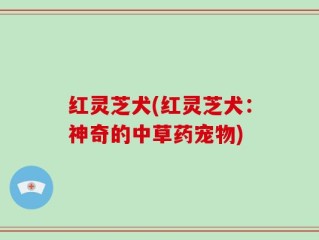 红灵芝犬(红灵芝犬：神奇的中草药宠物)