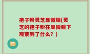 孢子粉灵芝显微镜(灵芝的孢子粉在显微镜下观察到了什么？)