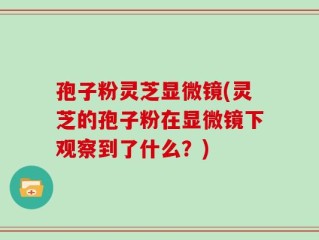 孢子粉灵芝显微镜(灵芝的孢子粉在显微镜下观察到了什么？)