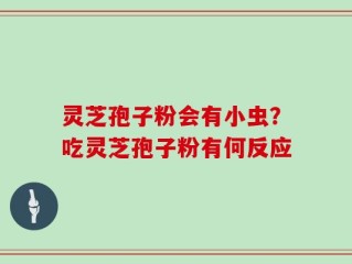 灵芝孢子粉会有小虫？吃灵芝孢子粉有何反应