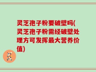 灵芝孢子粉要破壁吗(灵芝孢子粉需经破壁处理方可发挥最大营养价值)