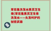 草若集洗发水黑灵芝生姜(草若集黑灵芝生姜洗发水——头发呵护的秘密武器